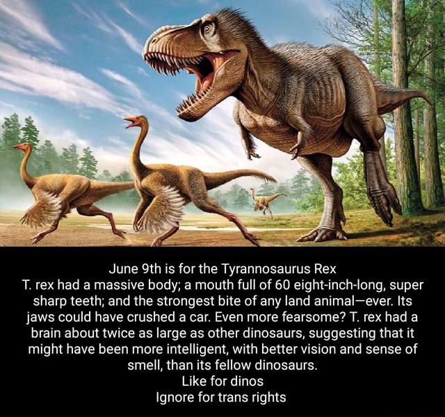 June is for the Tyrannosaurus Rex T. rex had a massive body; a mouth ...