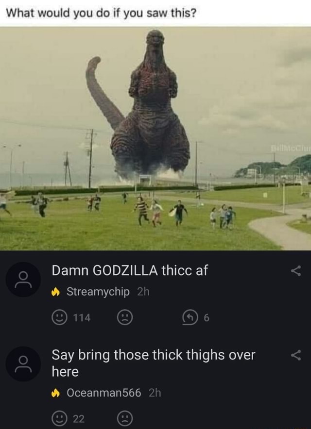 What would you do if you saw this? Damn GODZILLA thicc af Say bring ...