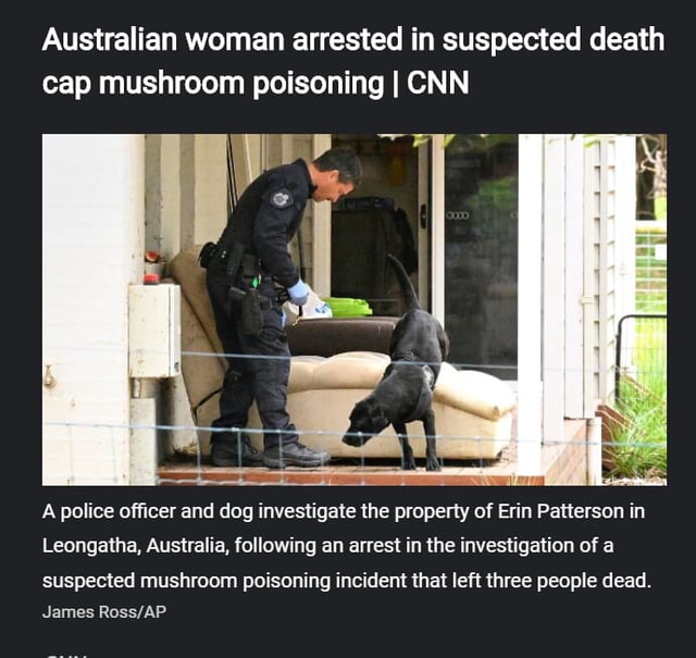 Australian Woman Arrested In Suspected Death Cap Mushroom Poisoning I Cnn A Police Officer And 