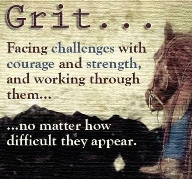 Grit. Facing challenges with courage and strength, and working through