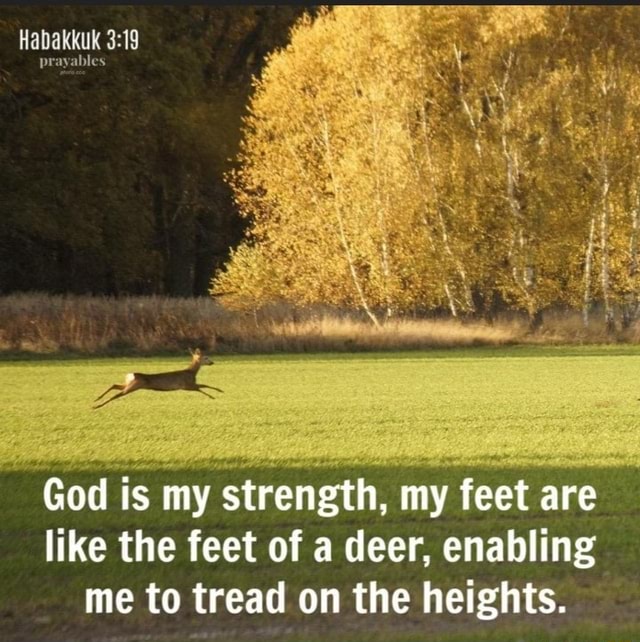 Habakkuk God is my strength, my feet are like the feet of a deer ...