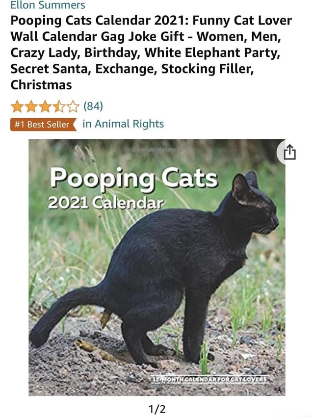 Ellon Summers Pooping Cats Calendar 2021 Funny Cat Lover Wall Calendar