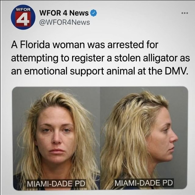 WEOR News A Florida woman was arrested for attempting to register a ...