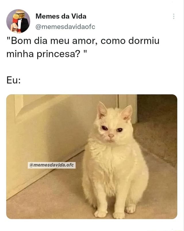 N/A - Memes da Vida (Qmemesdavidaofc N/A - Memes da Vida (Qmemesdavidaofc