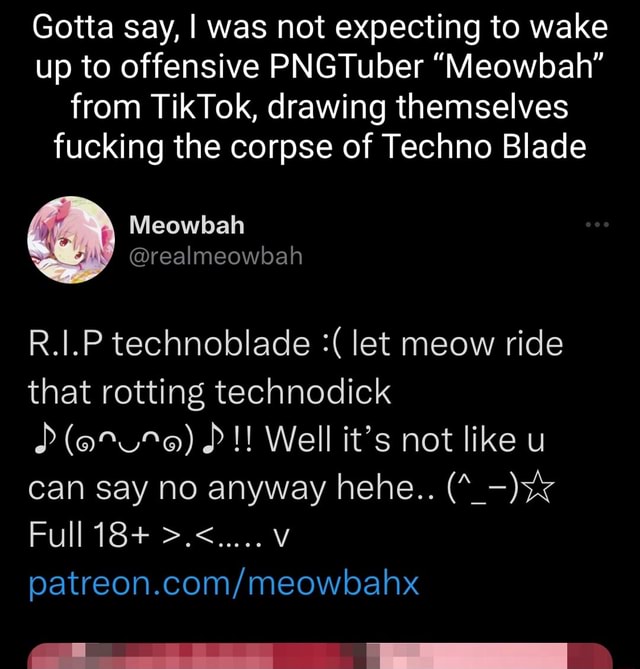 Meowbah @realmeowbah R.I.P technoblade let meow ride that rotting