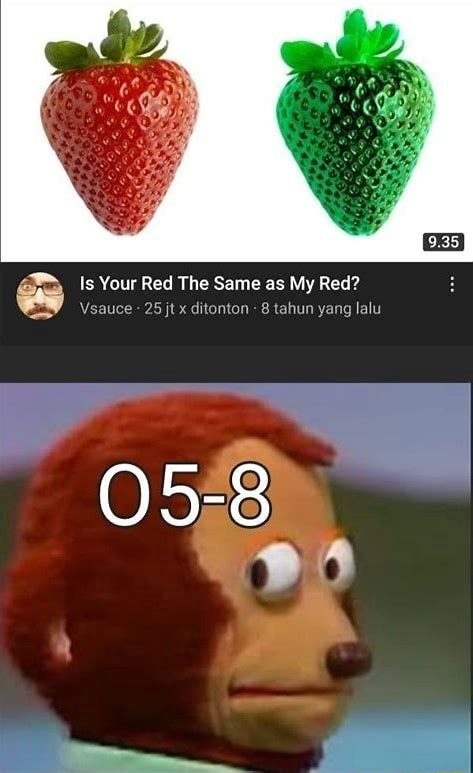 is-your-red-the-same-as-my-red-vsauce-25-jt-ditonton-tahun-yang-lalu