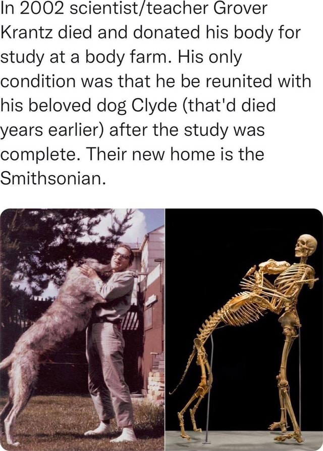 In 2002 Grover Krantz died and donated his body for study at a body