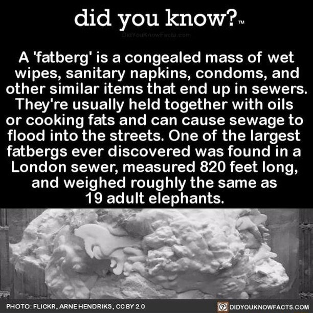 Did you know?.. A 'fatberg' is a congealed mass of wet wipes, sanitary ...