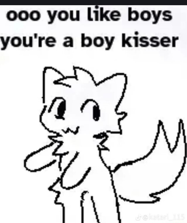 Ooo you like boys you're a boy kisser - iFunny