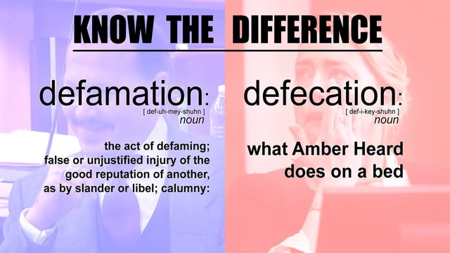 KNOW THE DIFFERENCE defamation: defecation: noun def-uh- [ def-i-key