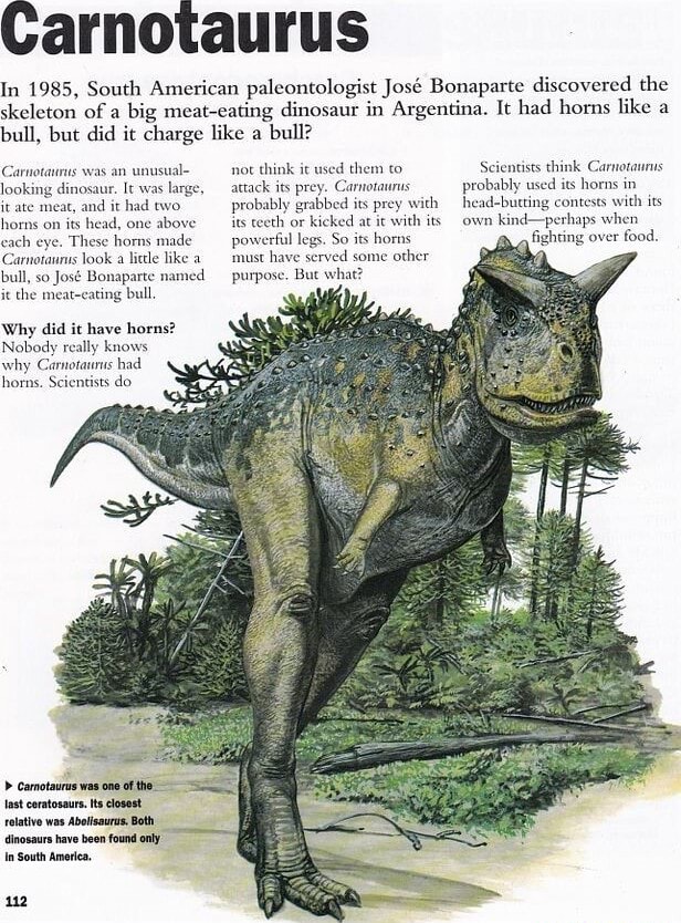 Carnotaurus In 1985, South American Paleontologist Jose Bonaparte ...