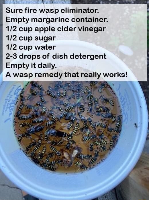 Sure fire wasp eliminator. Empty margarine container. cup apple cider vinegar cup sugar cup