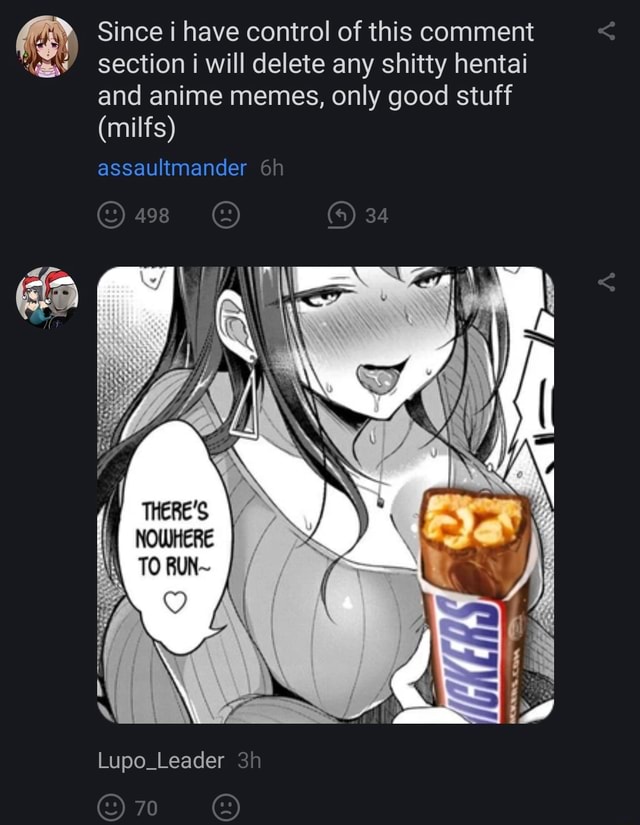 Since I Have Control Of This Comment Section I Will Delete Any Shitty Hentai And Anime Memes Only Good Stuff Milfs Assaultmander 498 Lupo Leader 70