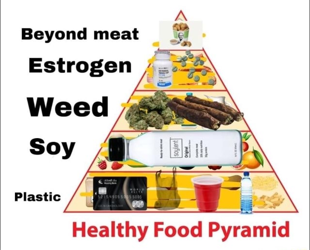 Beyond meat Estrogen Plastic Healthy Food Pyramid iFunny