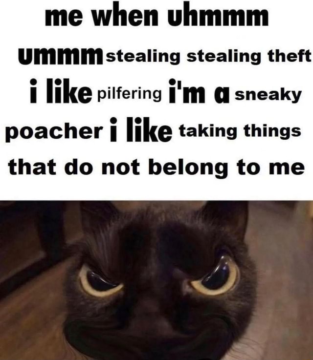 Me when uhmmm UMMM stealing stealing theft e je . . I il like pilfering ...
