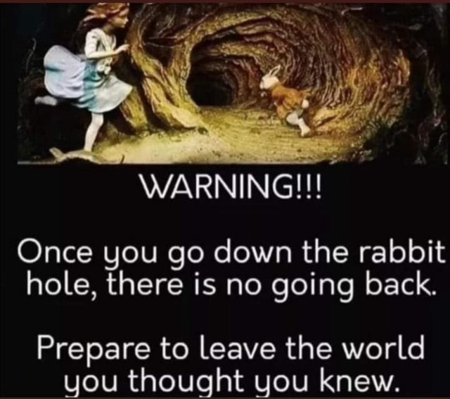 Warning Once You Go Down The Rabbit Hole There Is No Going Back