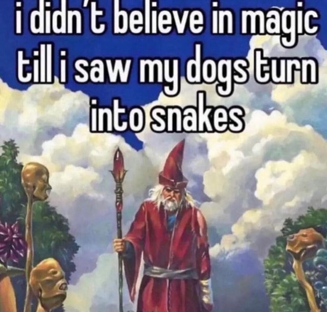 Believe in magic saw my dogs turn ntosnakes iFunny
