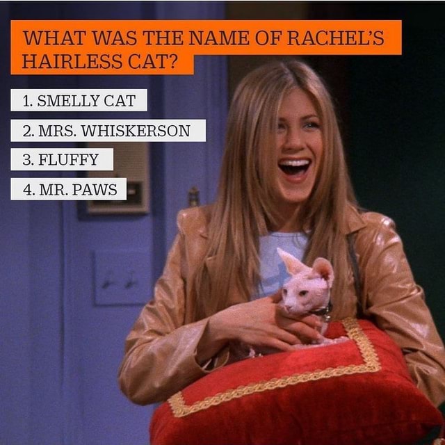 WHAT WAS THE NAME OF RACHEL'S HAIRLESS CAT? 1. SMELLY CAT 2. MRS