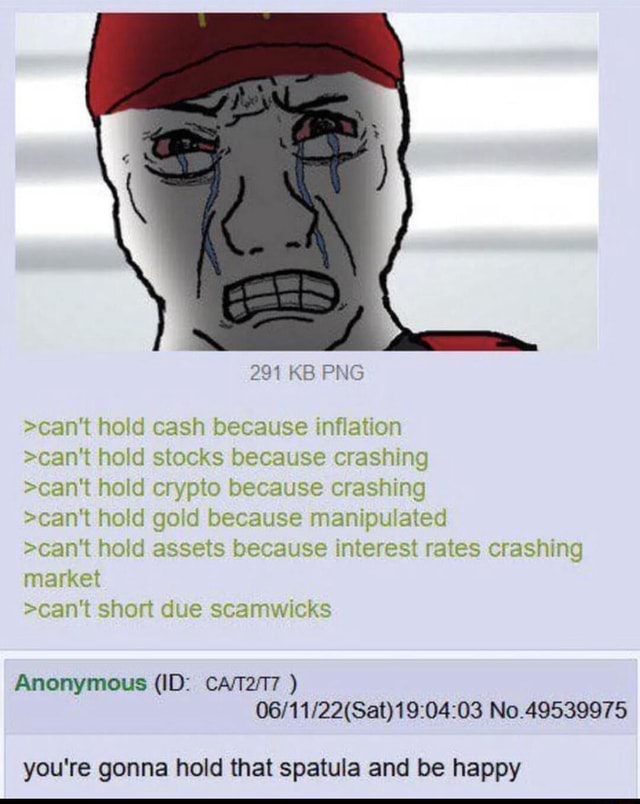 291 KB PNG >can't hold cash because inflation >can't hold stocks
