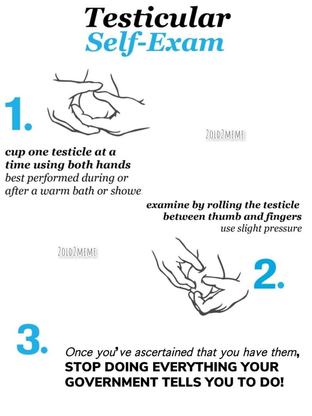 Testicular Self Exam 1 Cup One Testicle At A Time Using Both Hands