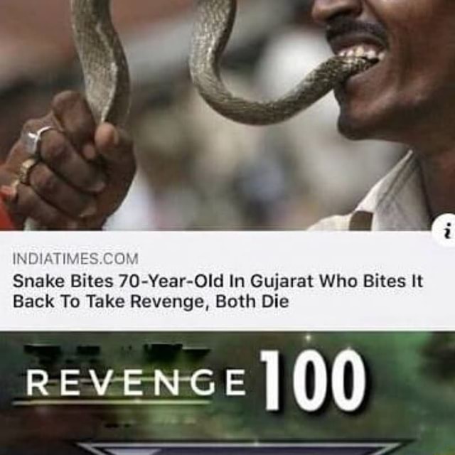 Snake Bites 70-Year-Old In Gujarat Who Bites It Back To Take Revenge ...