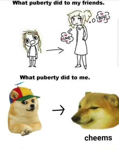 What puberty did to my friends. What puberty did to me. cheems - iFunny ...