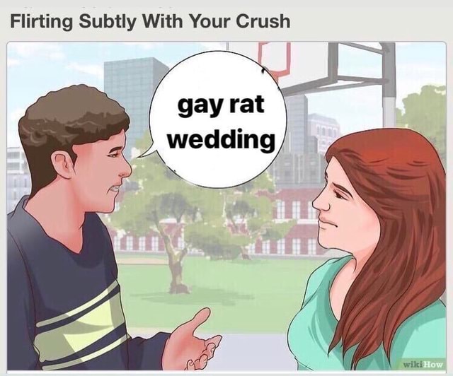 flirting-subtly-with-your-crush-gay-rat-wedding-ifunny