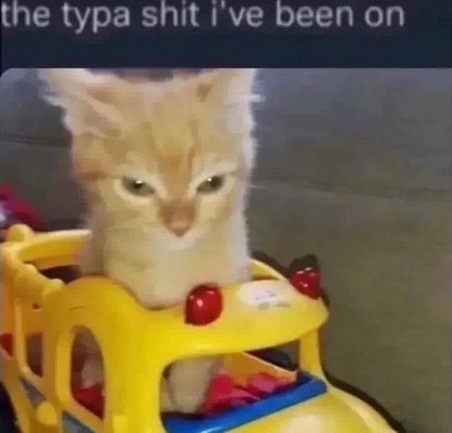 The typa shit I ve been on - iFunny