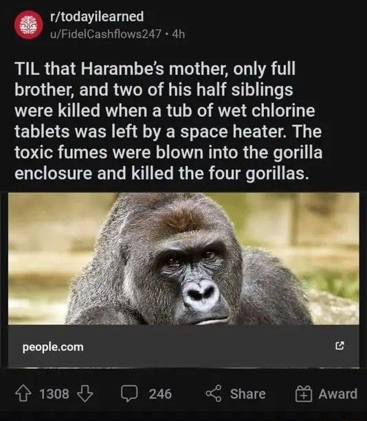 TIL that Harambe's mother, only full brother, and two of his half ...