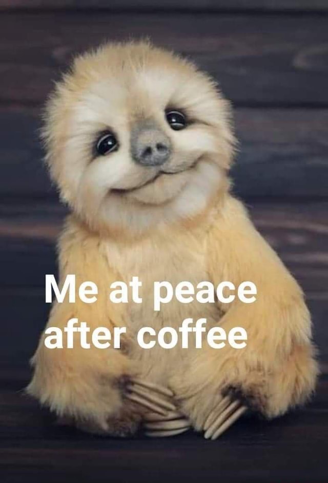 Me at peace after coffee - America’s best pics and videos