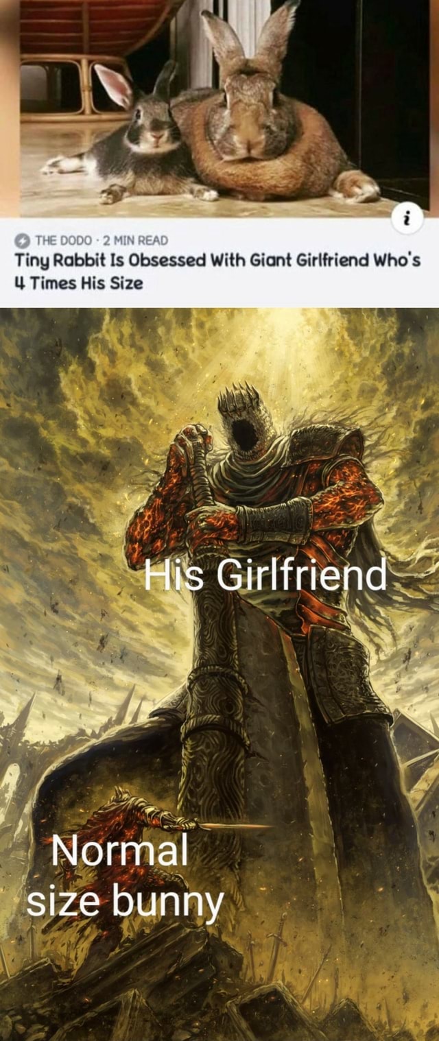 THE MIN READ Tiny Rabbit Is Obsessed With Giant Girlfriend Who's Times