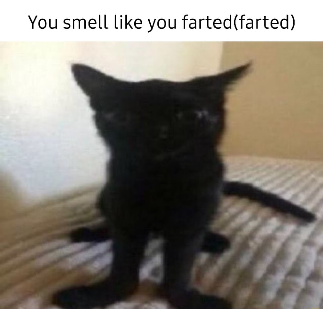 You smell like you farted (farted) - )