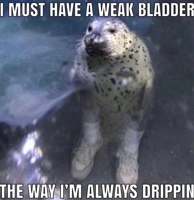 I MUST HAVE A WEAK BLADDER THE WAY ALWAYS DRIPPIN - iFunny