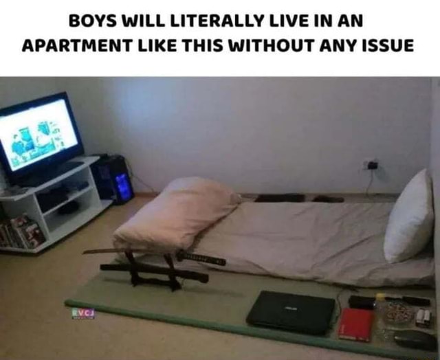 BOYS WILL LITERALLY LIVE IN AN APARTMENT LIKE THIS WITHOUT ANY ISSUE ...