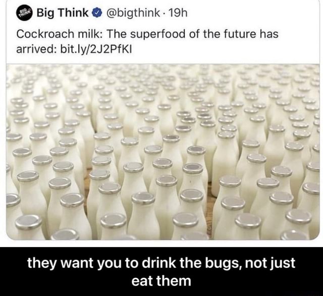 Big Think @bigthink Cockroach milk: The superfood of the future has ...