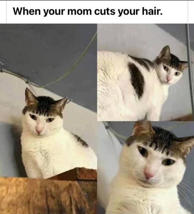 When your mom cuts your hair. - iFunny