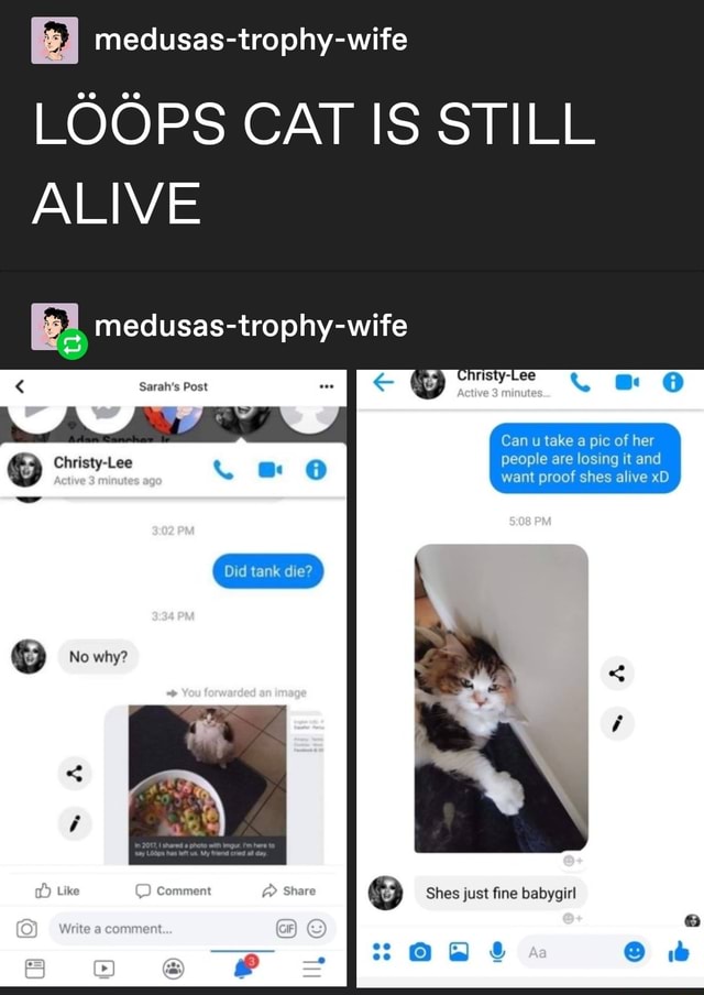 Medusas-trophy-wife LOOPS CAT IS STILL ALIVE E!, medusas-trophy-wife ...