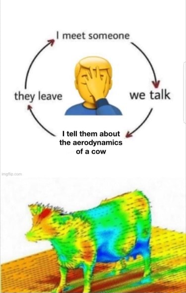 Meet We Tell Them Aerodynamics Of Acow - Ifunny