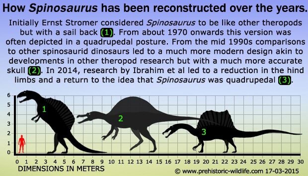 Spinosaurus before and after - How Spinosaurus has been reconstructed