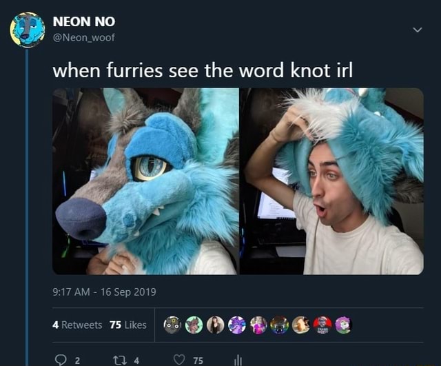 When furries see the word knot irl iFunny