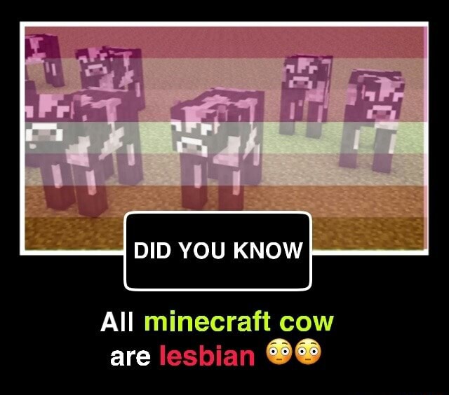 DID YOU KNOW All minecraft cow are lesbian Q. - iFunny