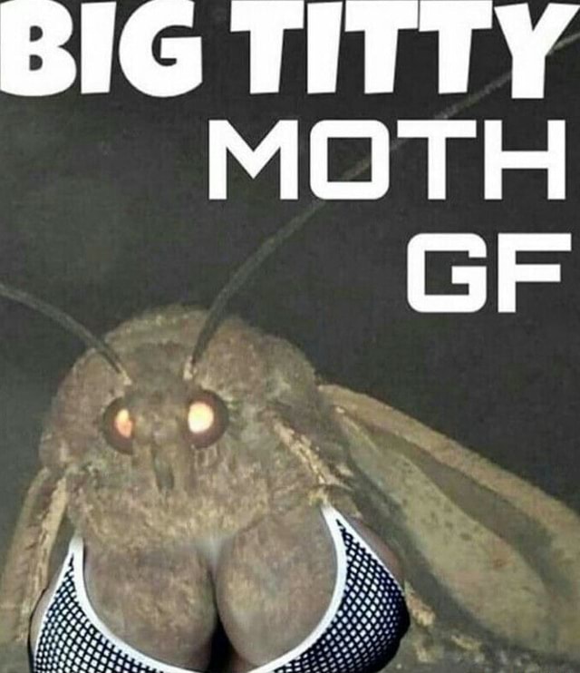 Big Titty Moth Ifunny