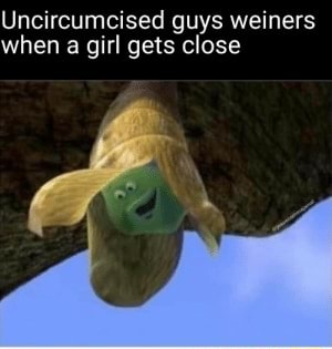 Uncircumcised guys weiners when a girl gets close - iFunny