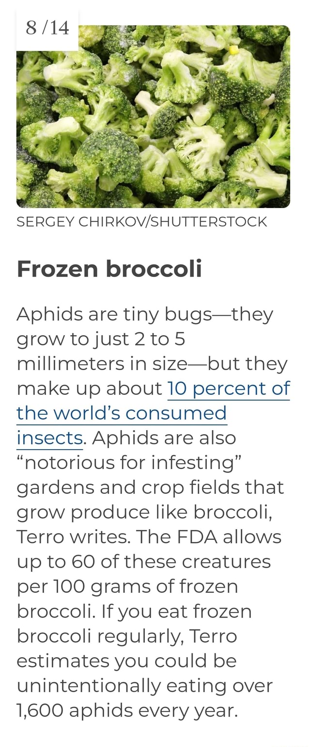 SERGEY Frozen broccoli Aphids are tiny bugsthey grow to just to