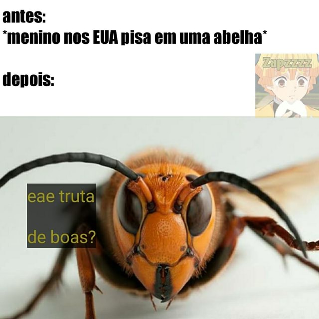 Antes Menino Nos EVA Pisa Em Uma Abelha IFunny Brazil