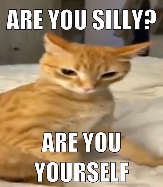 ARE YOU SILLY? ARE YOU YOURSELF - iFunny