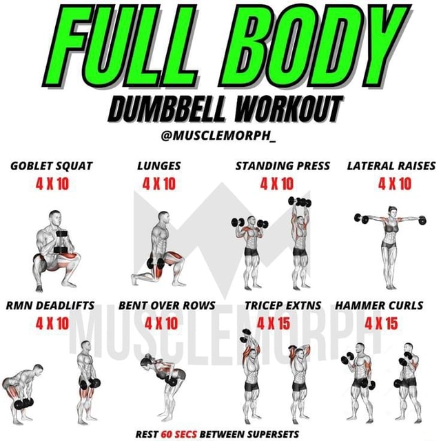 DUMBBELL WORKOUT @MUSCLEMORPH_ GOBLET SQUAT LUNGES STANDING PRESS ...