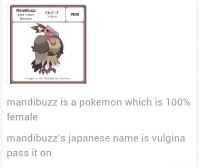 Mandibuzz Is A Pokemon Which Is 100 Female Mandibuzz S Japanese Name Is Vulgina Pass Iton Ifunny