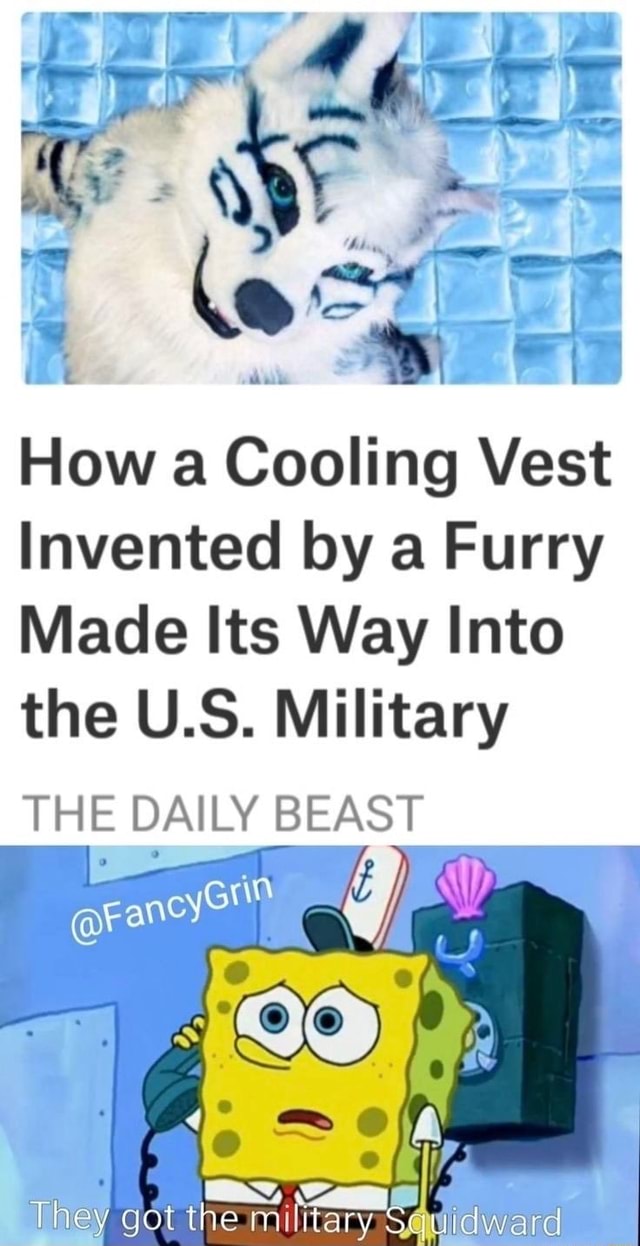 How a Cooling Vest Invented by a Furry Made Its Way Into the U.S