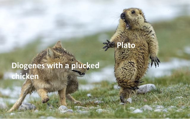Plato Diogenes with a plucked chicken - iFunny
